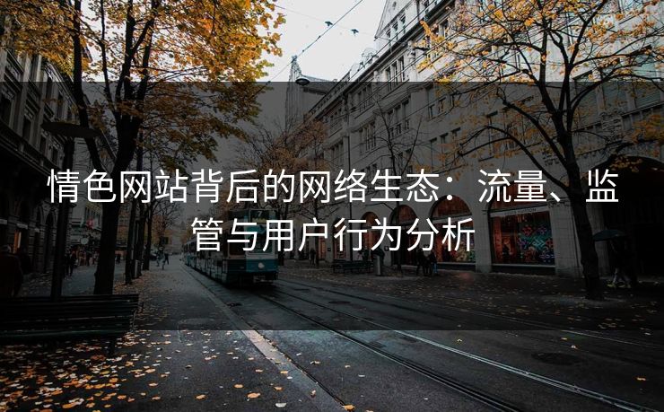 情色网站背后的网络生态：流量、监管与用户行为分析