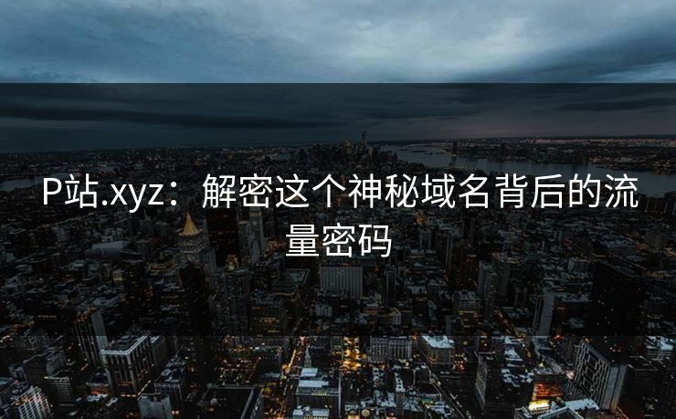 P站.xyz：解密这个神秘域名背后的流量密码